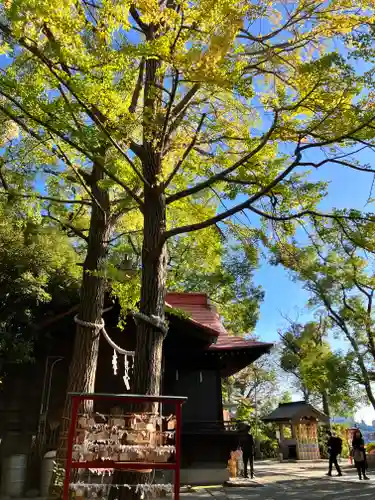多摩川浅間神社(東京都)