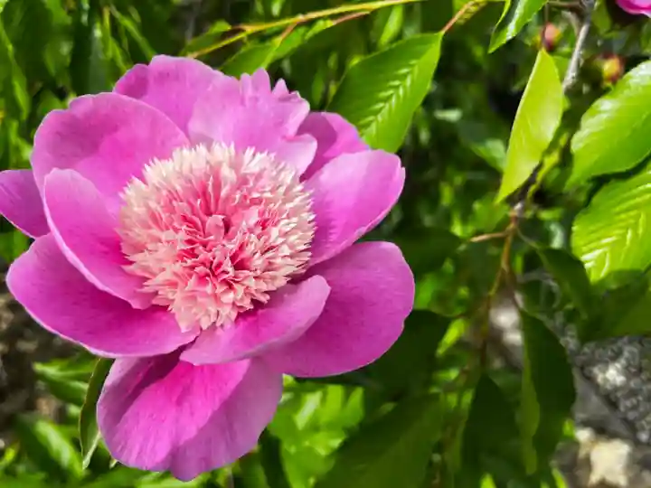 松本山 地福禅寺(滋賀県)