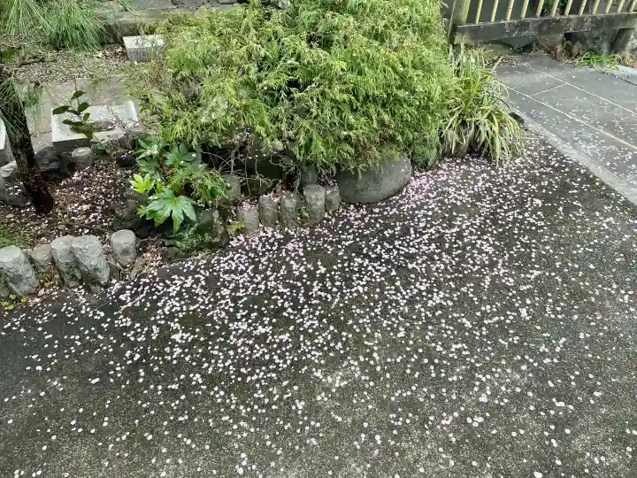 常泉寺の{uncategorized: "未分類", other: "その他", undefined: "問題あり", building: "その他建物", grave: "お墓", sacred_gate: "鳥居", guardian: "狛犬", statue: "像", buddha: "仏像", history: "歴史", nature: "自然", garden: "庭園", animal: "動物", pagoda: "塔", temizu: "手水舎", mountain_gate: "山門・神門", sanctuary: "本殿・本堂", subordinate: "末社・摂社", art: "芸術", scenery: "景色", jizo: "地蔵", ema: "絵馬", goshuin: "御朱印", omikuji: "おみくじ", items: "授与品その他", amulet: "お守り", goshuincho: "御朱印帳", eats: "食事", festival: "お祭り", votive_dance: "神楽", shichigosan: "七五三参", wedding: "結婚式", experience: "体験その他", initially: "初詣", around: "周辺", anti_infection: "感染症対策"}