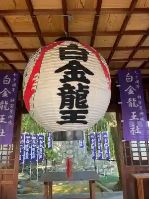 白金龍王社(愛知県)