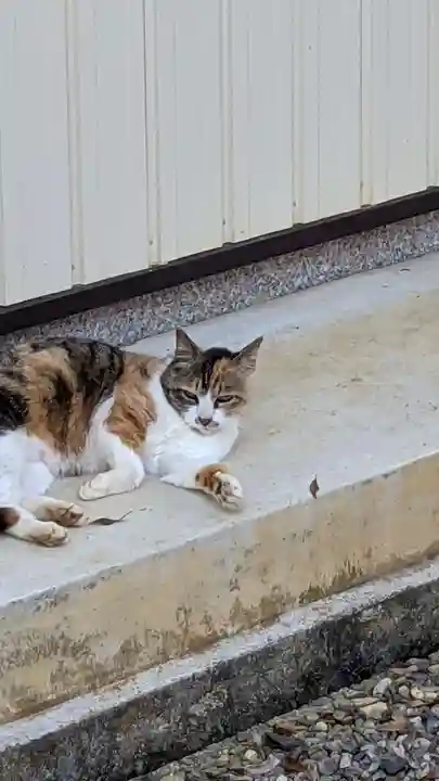 玉野御嶽神社の動物