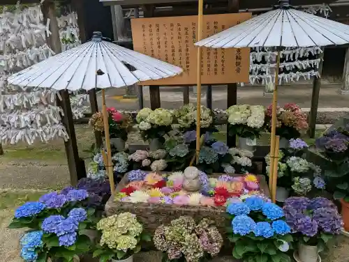 岡寺（龍蓋寺）(奈良県)