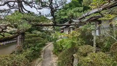 宝円寺(京都府)