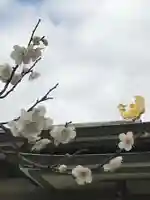 湯島天満宮の自然