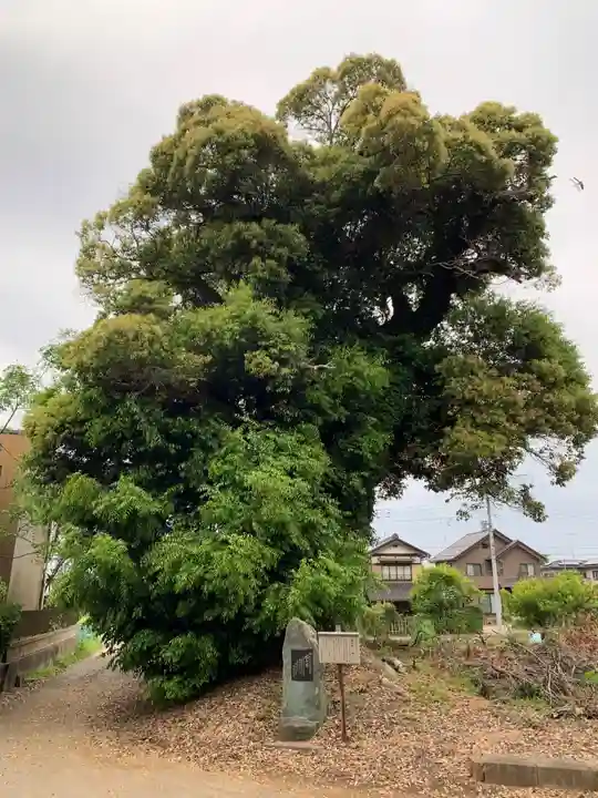 万福寺(千葉県)