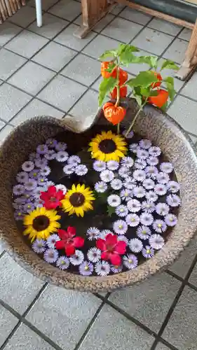 美瑛神社の手水舎