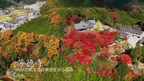 芳徳寺の景色