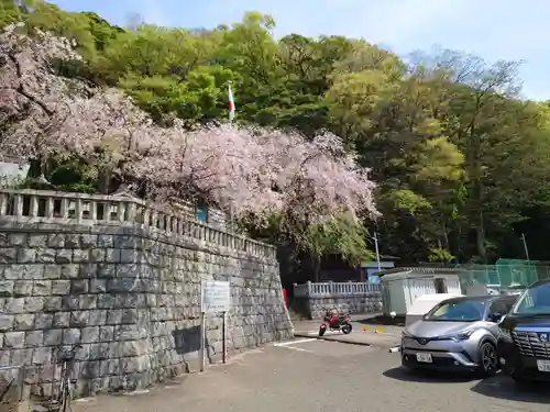 根岸八幡神社の庭園