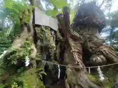 來宮神社(静岡県)