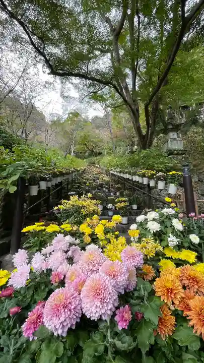 長谷寺(奈良県)