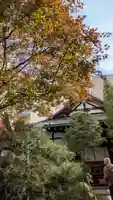 宝蔵寺(京都府)
