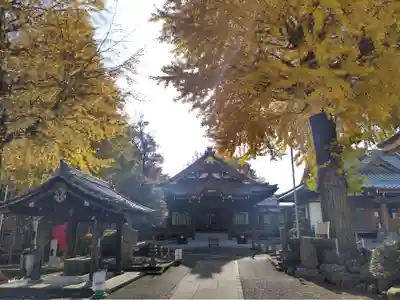 正覚寺の本殿・本堂