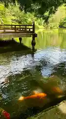 高鴨神社(奈良県)