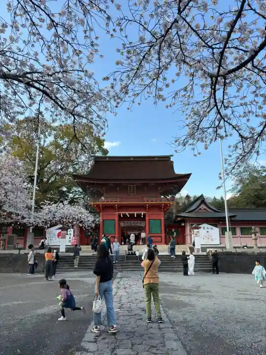 富士山本宮浅間大社(静岡県)