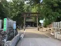 若狭姫神社(若狭彦神社下社)の鳥居