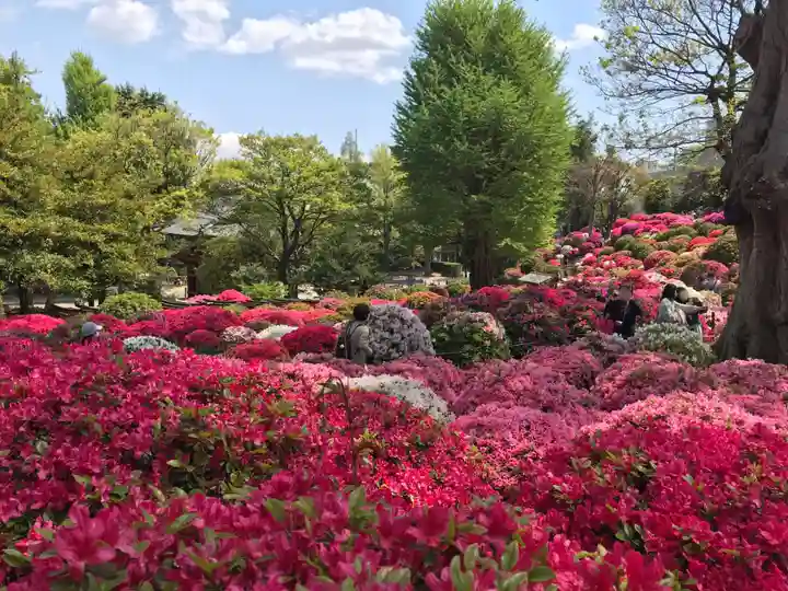 根津神社(東京都)
