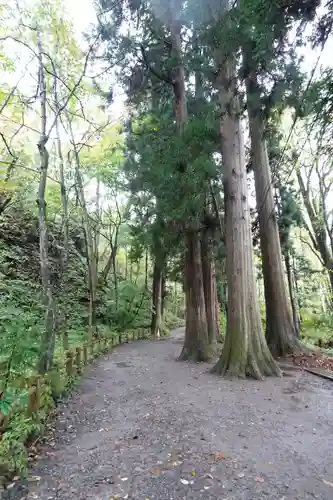 十和田神社(青森県)