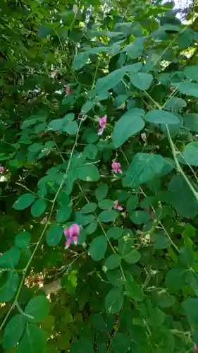 梨木神社(京都府)
