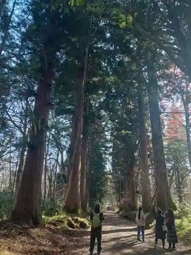 戸隠神社奥社(長野県)