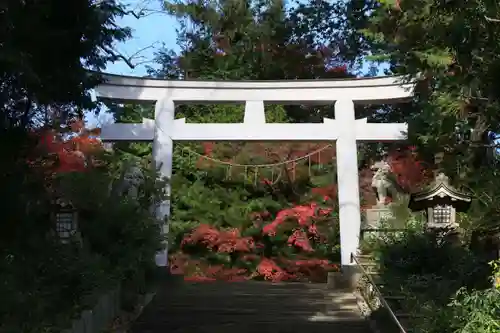 二本松神社の鳥居