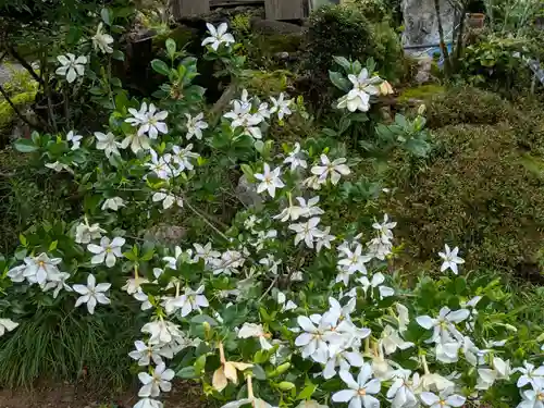 法華寺(岐阜県)