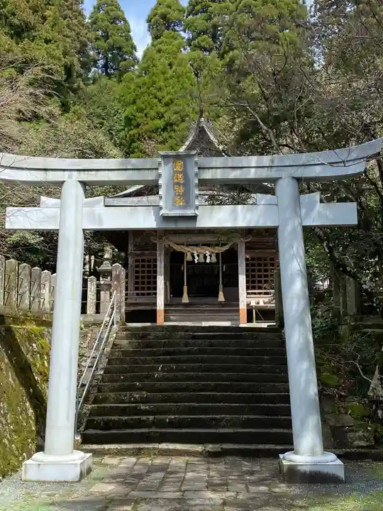 国造神社の鳥居