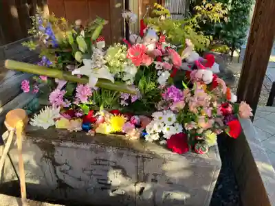 勝林寺(京都府)