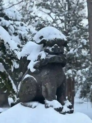 新琴似神社(北海道)