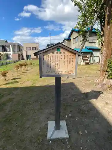 東照宮の建物その他