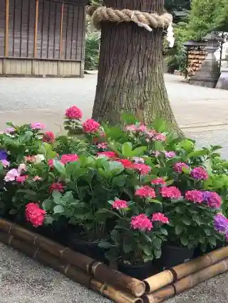 比々多神社の庭園