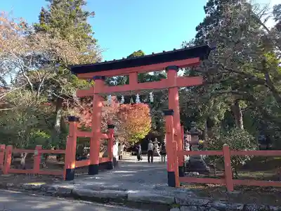 丹生都比売神社(和歌山県)
