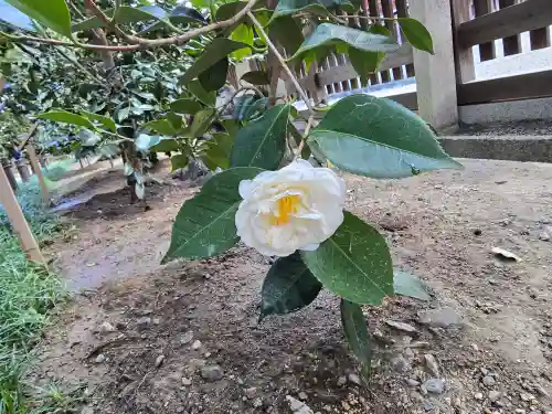 城南宮(京都府)