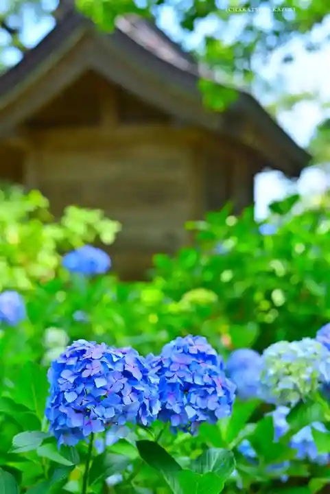 妙楽寺(神奈川県)