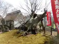 慈恩寺阿弥陀堂(奈良県)