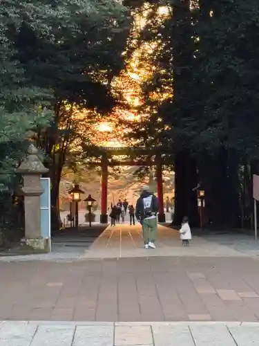 霧島神宮(鹿児島県)