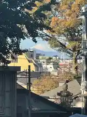 北澤八幡神社の景色