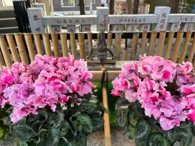 高円寺氷川神社の手水舎