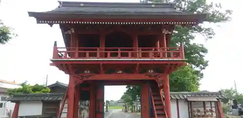 金剛寺の山門