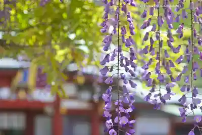 日枝神社(東京都)