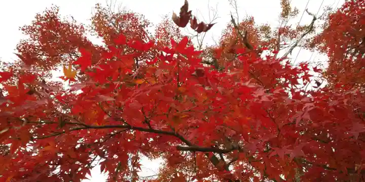 建勲神社(京都府)