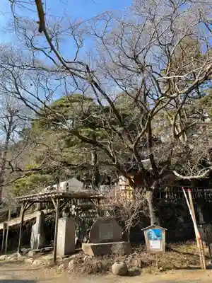 深大寺のその他建物