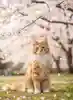 もぐもぐ