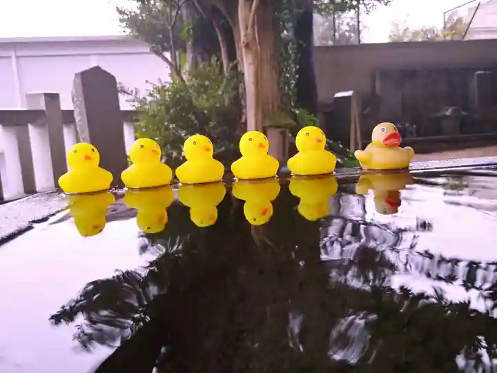 柏諏訪神社の手水舎
