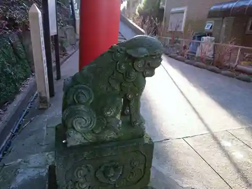 富岡八幡宮の狛犬