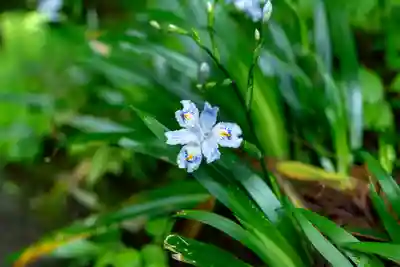 戸隠神社宝光社(長野県)