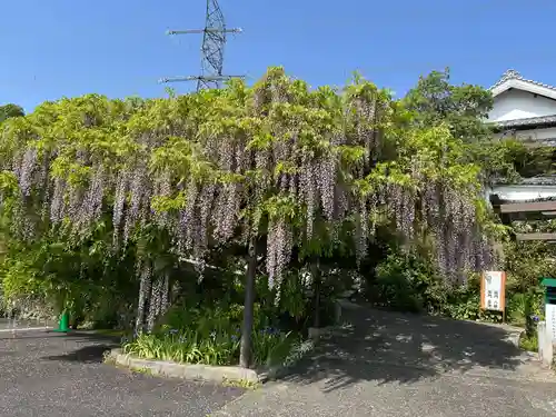 子安地蔵寺(和歌山県)