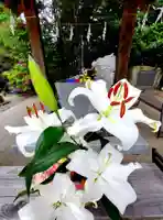 滑川神社 - 仕事と子どもの守り神(福島県)