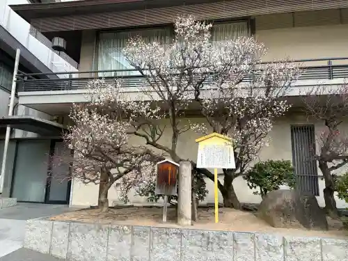 生田神社の{uncategorized: "未分類", other: "その他", undefined: "問題あり", building: "その他建物", grave: "お墓", sacred_gate: "鳥居", guardian: "狛犬", statue: "像", buddha: "仏像", history: "歴史", nature: "自然", garden: "庭園", animal: "動物", pagoda: "塔", temizu: "手水舎", mountain_gate: "山門・神門", sanctuary: "本殿・本堂", subordinate: "末社・摂社", art: "芸術", scenery: "景色", jizo: "地蔵", ema: "絵馬", goshuin: "御朱印", omikuji: "おみくじ", items: "授与品その他", amulet: "お守り", goshuincho: "御朱印帳", eats: "食事", festival: "お祭り", votive_dance: "神楽", shichigosan: "七五三参", wedding: "結婚式", experience: "体験その他", initially: "初詣", around: "周辺", anti_infection: "感染症対策"}