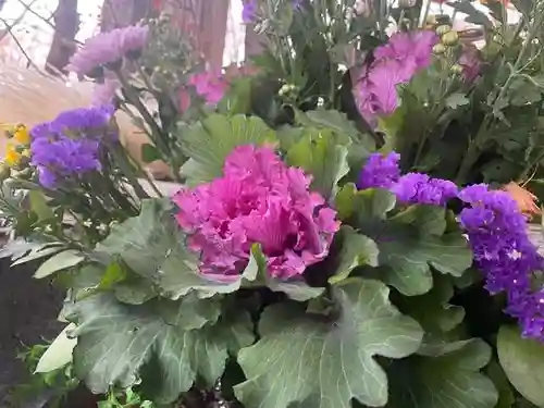 彌彦神社　(伊夜日子神社)の手水舎