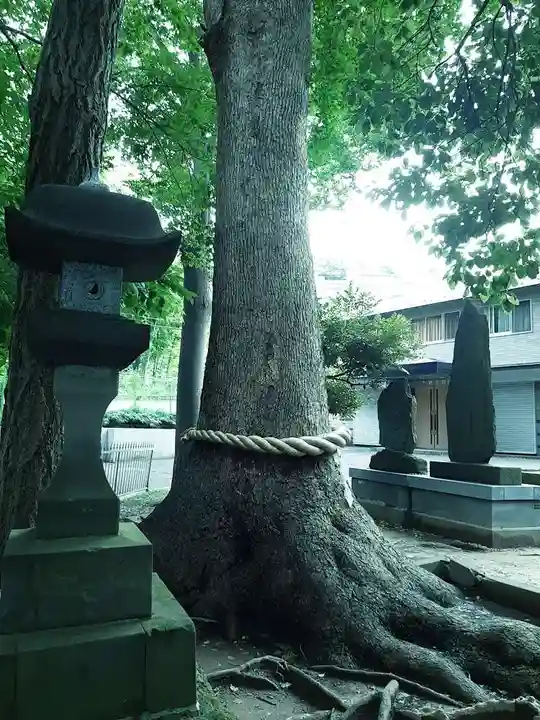 久地神社の自然